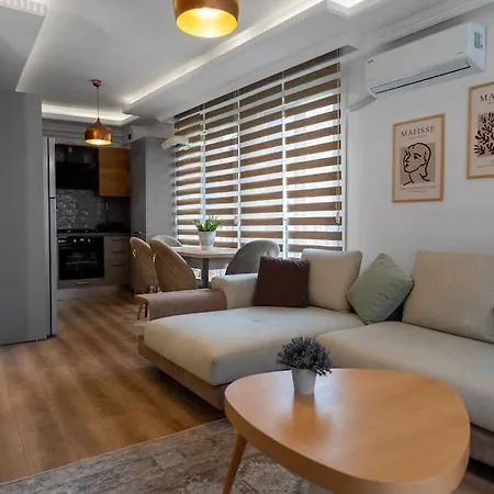 Apartment Luxury Scandinavian Design 2br Duplex Near Tomtom Istanbul