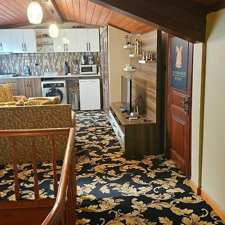 The Pashas House *