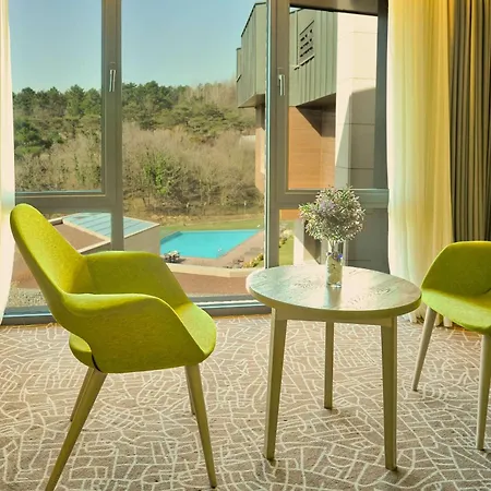 Hotel Park By Radisson Airport Odayeri