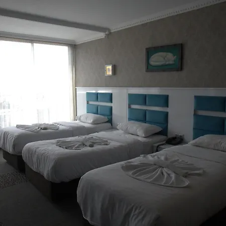 Comfort Downtown فندق