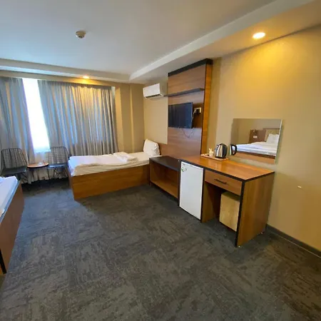 Palmiye Istanbul