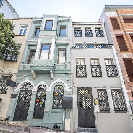 Calanthe Istambul