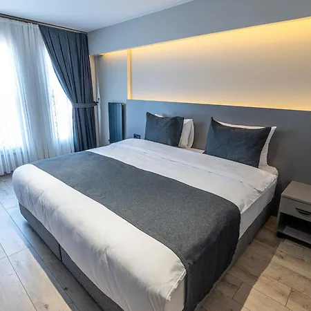 Calanthe Istambul