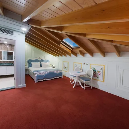 Seven Hills Palace&spa Hotel Istanboel