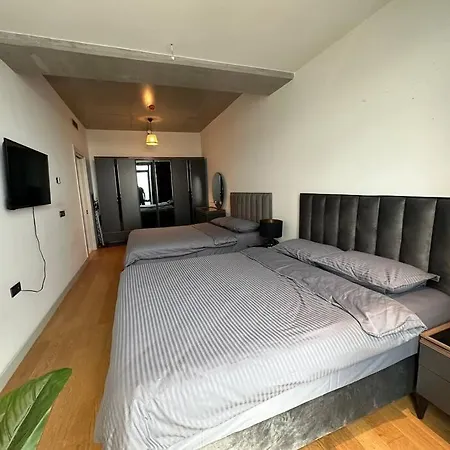 Apartment Luxury With Gym And Pool Floor40 *