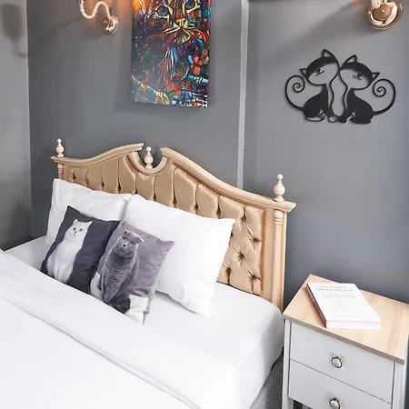 Galata Pearl Otel 3*