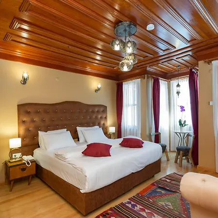 Bed & Breakfast Wonder Wood Istanbul