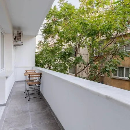 Bright Charming Modern 3bd2bath Balcony! #367 Apartment