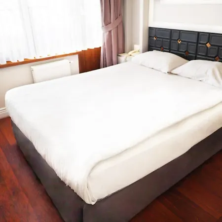 Bakirkoy Tashan Business & Airport Hotel 2*