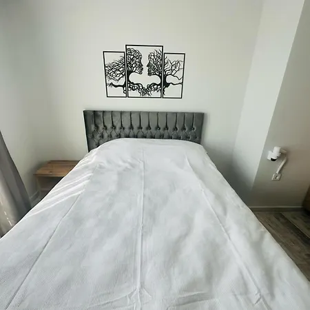 شقة فندقية The Yk *