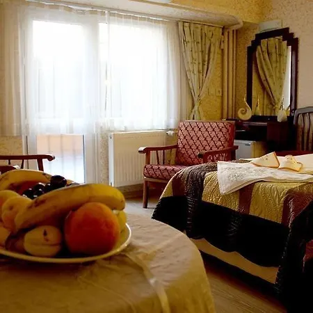 Hotel Akyildiz Estambul