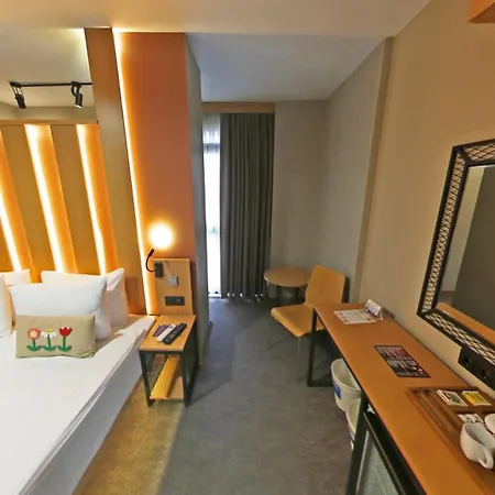 伊斯坦布尔古董酒店 酒店 4*