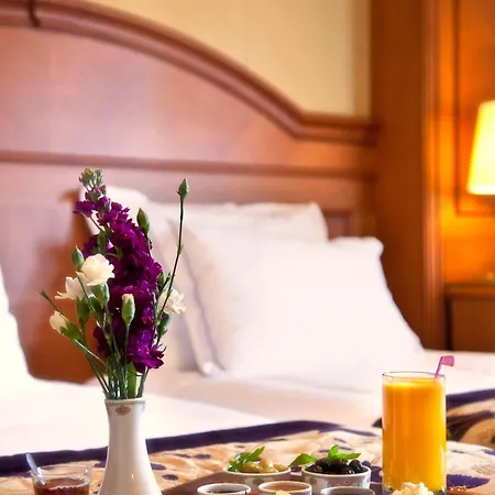 Hotel Glk Premier Acropol & Provincia di Istanbul