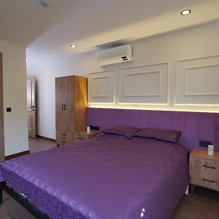 Bedreddin Mansion Holiday home Istanbul