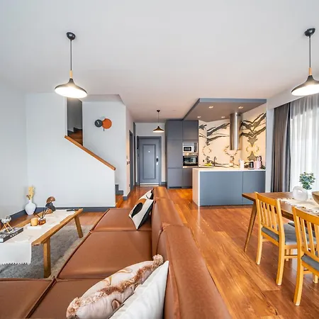 Beyoglu Benesta Residence, 2 Bedroom Duplex No-205 Apartment Istanbul