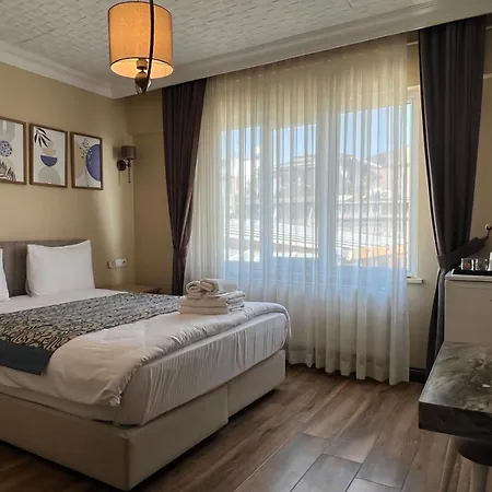 Отель Sultanahmet 3*