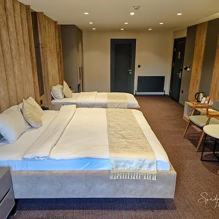酒店 Sabiha Sultan Hotel-karakoy 伊斯坦布尔