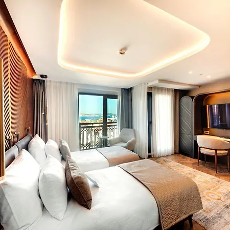 Levni Premium Old 4* Стамбул