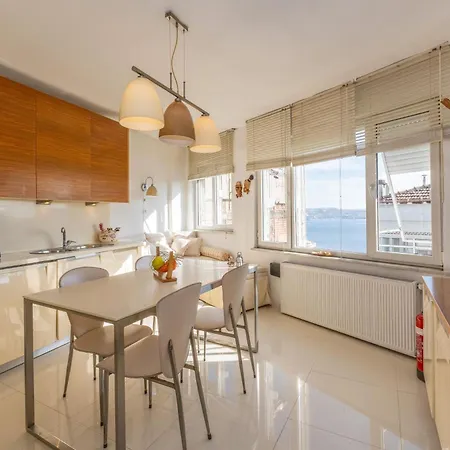 Bosphorus View-airport Shutle-high Speed Wifi-private Parking Isztambul