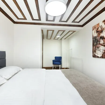 Historical Wood Dublex At Taksim&galata Apartman *