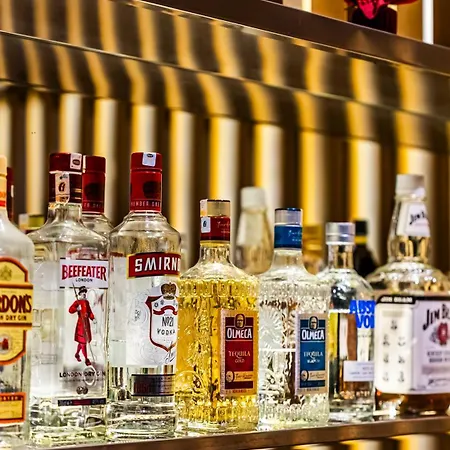 酒店 拉马丁酒店