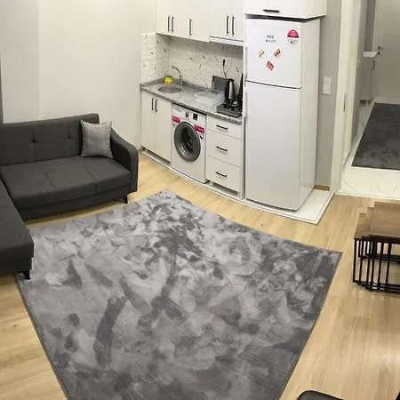 Ayd Elmadag Taksim Apartahotel Estambul