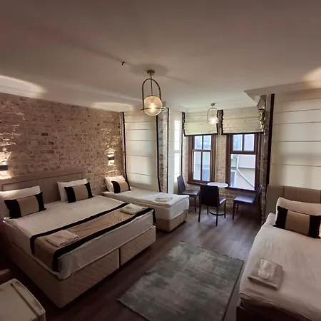 Hotel Besiktas Guest *