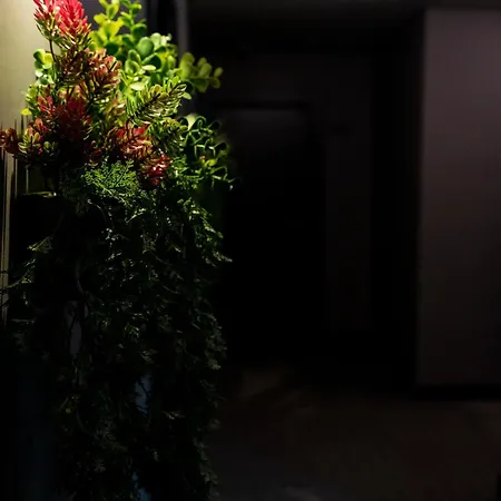 Brandroom Hotel 3*