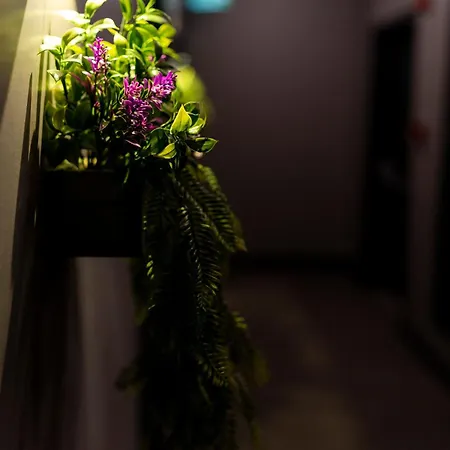 Hotel Brandroom 3*