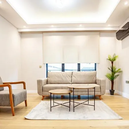 Mayer Skycon In Besiktas 2 Apartament *