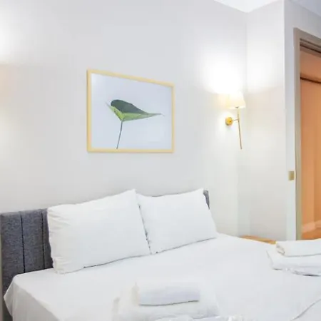 Mayer Skycon In Besiktas 2 Apartament *