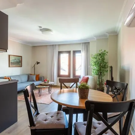 Apartament Gorgeous Airy 2bd2bath Bosphorus Views! #358 *