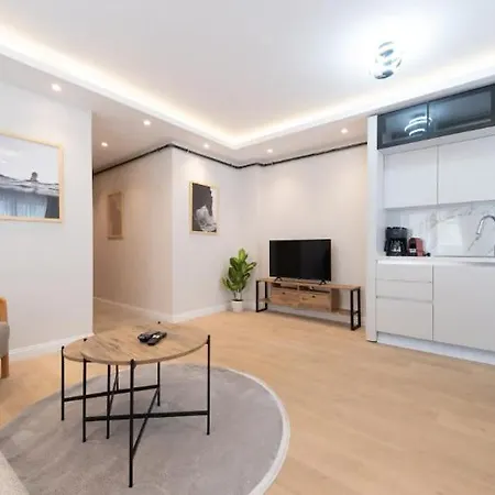 Mayer Skycon In Besiktas 2 Apartament Istanbul