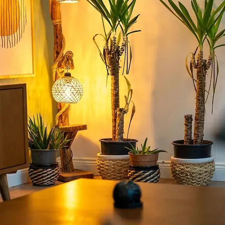 Forest Inspired Designed 1br Luxury Flat In Tomtom İstanbul