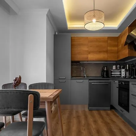 Stylish Boho 1br Steps From Trendy Tomtom Apartament