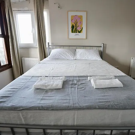 I1 Historic House With Gorgeous View 伊斯坦布尔