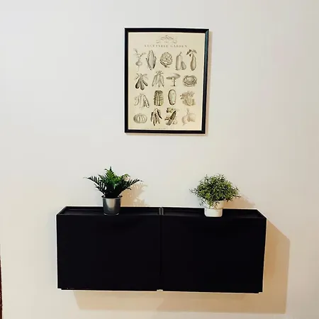 Stylish & Comfort In Ortakoey 이스탄불