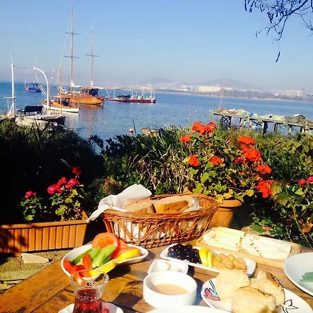 Tuzla Yacht Club Homestay Istanbul