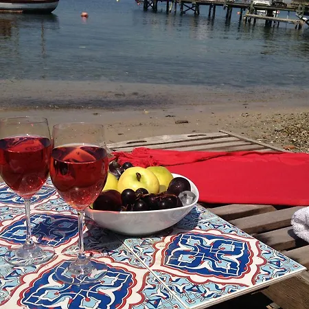 Homestay Tuzla Yacht Club *