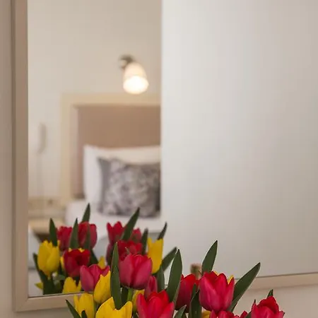Hotel The House Of Tulpan Provincia di Istanbul