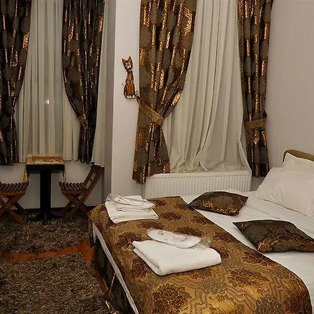 Apartment Cezayir