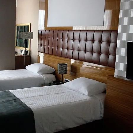 Hotel Atasehir Palace & Conference 4*
