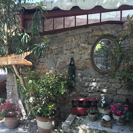 Homestay Tuzla Yacht Club *