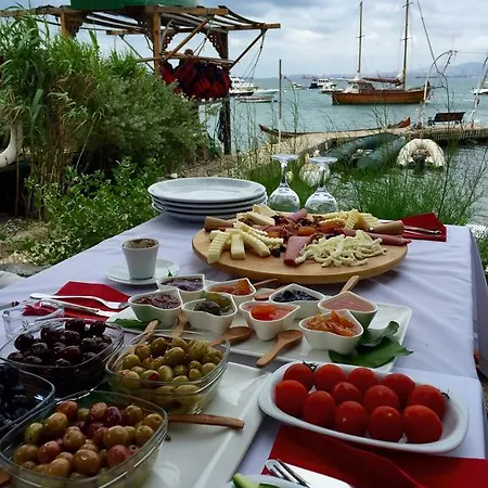 Tuzla Yacht Club Homestay *