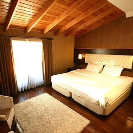 Hotel Mangana