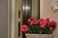 Apartment Oemer Hayyam Suites