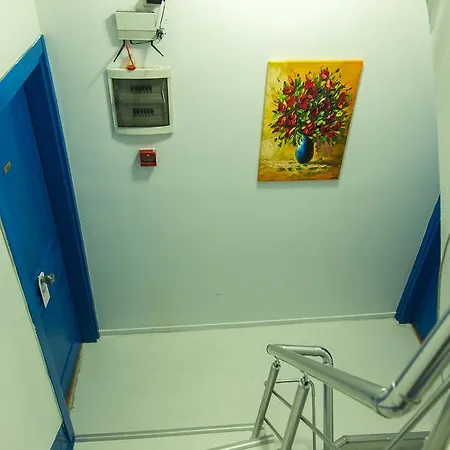 Hotel The House Of Tulpan
