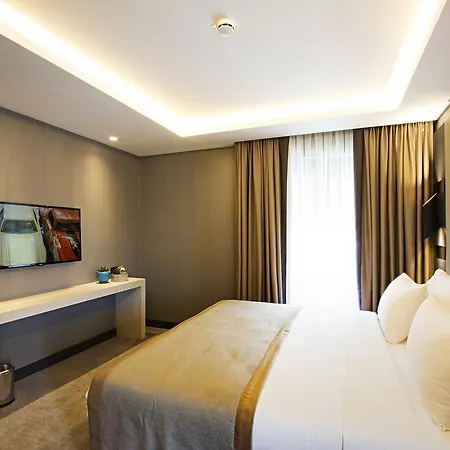 Cityloft 81
