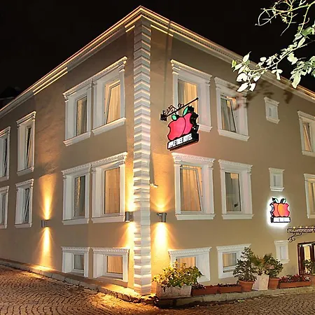 Apple Tree Hotel 3*