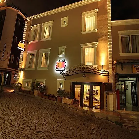Hotel Apple Tree Istambul